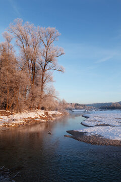 Germany, Upper Bavaria, Geretsried, View of trees and river isar