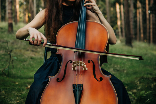 A woman plays the cello outdoors in a tranquil pine forest