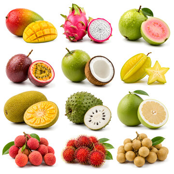 Fruit Collection
