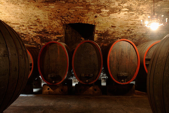 Wine casks in cellar