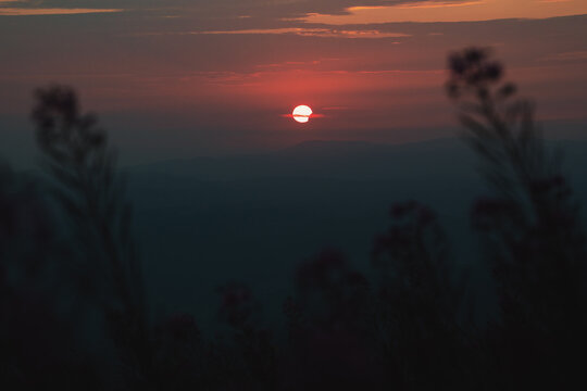 Partial solar eclipse at sunset over mountain ranges with plant silhouettes in the foreground, shot from Babin Zub peak at Stara Planina reserve in Serbia. 12.08.2026