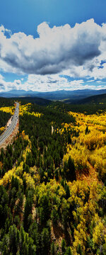 Aerial view of the Peak To Peak Scenic Byway winding through a vibrant forest of golden aspens and evergreen trees under a blue sky in Estes Park, Colorado, United States.
