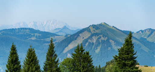 Fototapeta premium Amazing landscape of mountain. Scenery coniferous forest. Pine tree and mountain landscape with forest. Mountain landscape. Forest nature with mount. Nature in mountain countryside