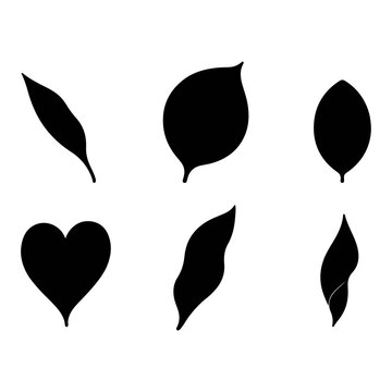 Elegant Floral & Leaf Black Silhouette Bundle