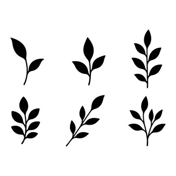 Elegant Floral & Leaf Black Silhouette Bundle
