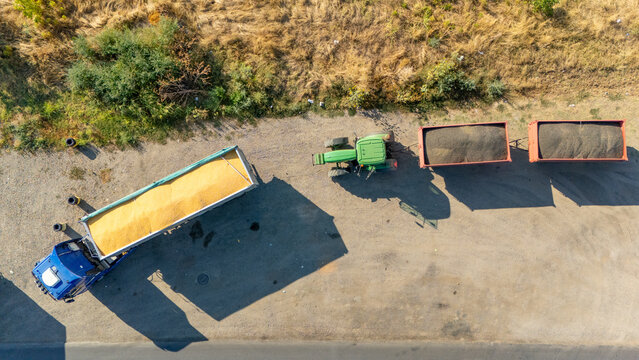 Aerial view of a green tractor pulling trailers filled with harvested grain next to a blue truck in a rural area in Indjija, Vojvodina, Serbia.