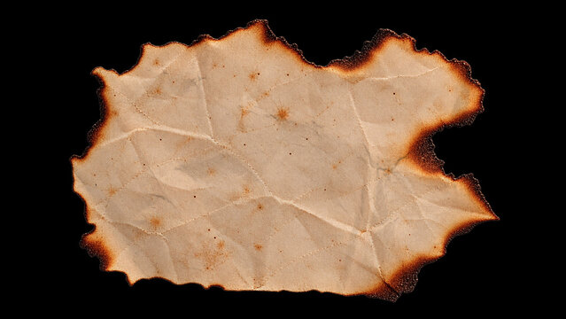 Burnt Paper Element 04