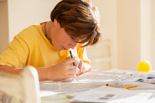 13 year old boy doing geometry homework in light filled room
