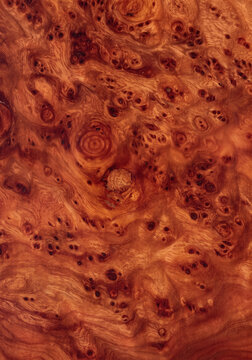 Exotic Burl Wood Grain Texture with Intricate Bird's Eye Knots and Swirls, Luxury Reddish Brown Timber Surface for Fine Furniture and Premium Interior Design Backdrop
