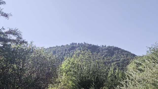 Inquadratura dal basso di una fitta foresta verde che copre il pendio di una montagna dove risiede un monastero