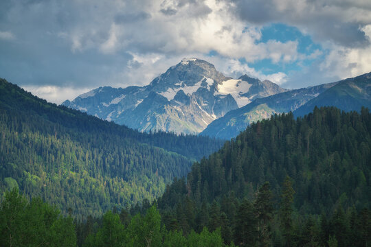 Snowy Sofrudzhu mountain peak rises above dark coniferous forest in Dombay under cloudy sky. Caucasian alpine wilderness landscape