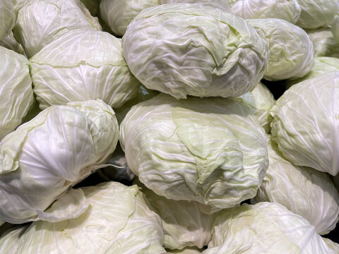 Fresh white cabbages piled together at a market, showcasing healthy leafy vegetables with a natural pale green texture.
