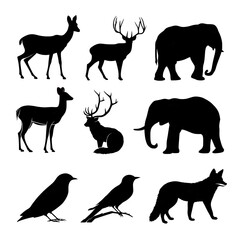 Fototapeta premium Set of black wild animal silhouettes including deer elephant and birds isolated on white background