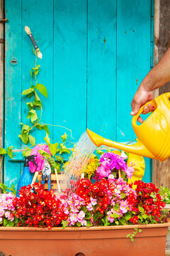 A man's hand watering flowers from an orange watering can.