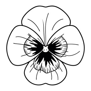 A pansy flower icon with five rounded petals 