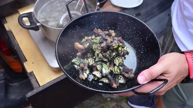 Person holding a pan of cooked gooseneck barnacles