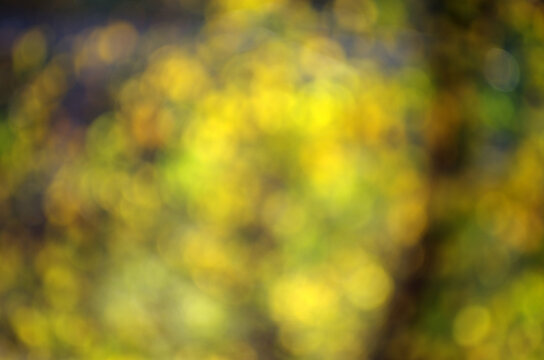 blurred abstract autumn background texture