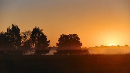 Fotobehang Bruin Golden sunrise landscape with tree silhouettes and low ground fog. Misty morning field at dawn with sun rising over horizon behind trees.  © tygrys74