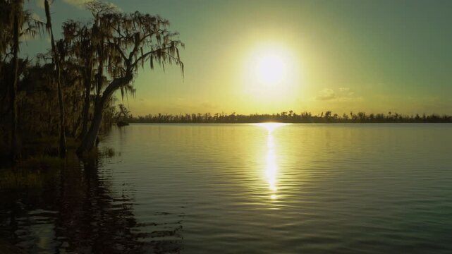 Golden sunset over Lake Minneola in Clermont, Florida, with Spanish moss draping from a cypress tree and warm light shimmering across the still water.