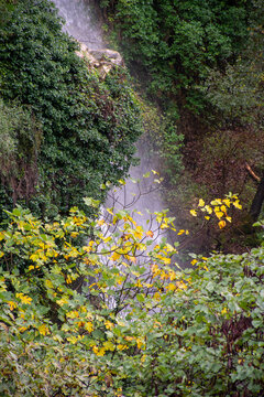 Close-up view of the waterfall in Pagi, Corfu, cascading behind ivy-covered rocks and a fig tree with yellow autumn leaves in the forest