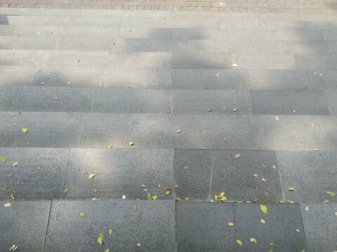 Textured Grey Stone Pavers on Outdoor Steps