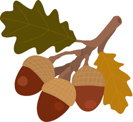 oak leaves and acorns © blackbean