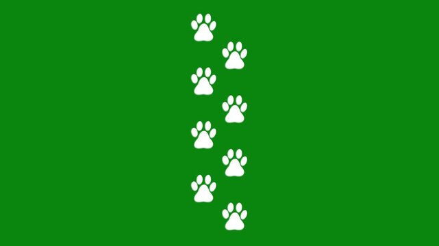 Dog paw prints are black on white. Footprints of an animal predator.Animal foot print.