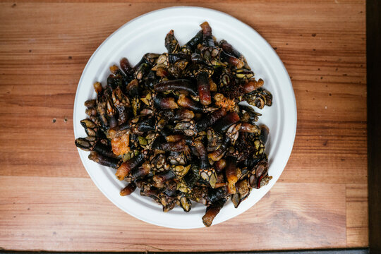 Plateful of fresh gooseneck barnacles percebes on wooden table