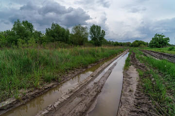 Obraz premium A dirt road surrounded by meadows and trees, strewn with puddles and potholes after the rain.