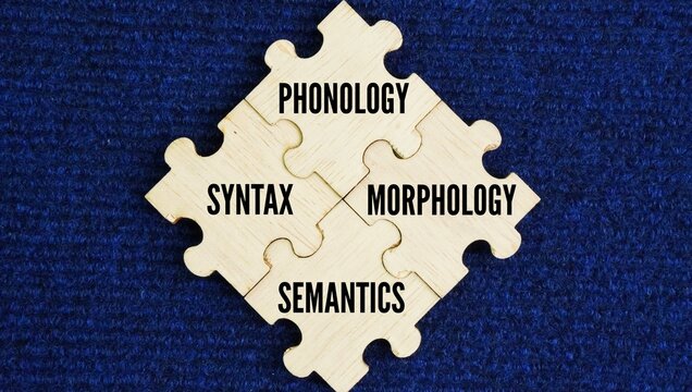 The four main components of grammar are phonology, morphology, syntax, and semantics word. each of which studies the sound system, word structure, sentence structure, and meaning in a language.