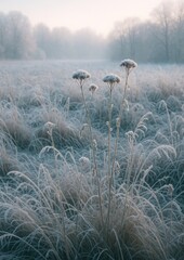 Naklejka premium Serene frosty morning landscape