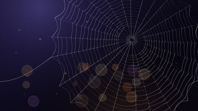 Halloween spider web with glowing bokeh lights seamless loop