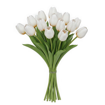 A bouquet of white tulips