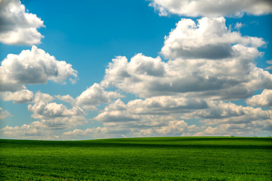 Field sky clouds bright green agricultural landscape with abundant copy space