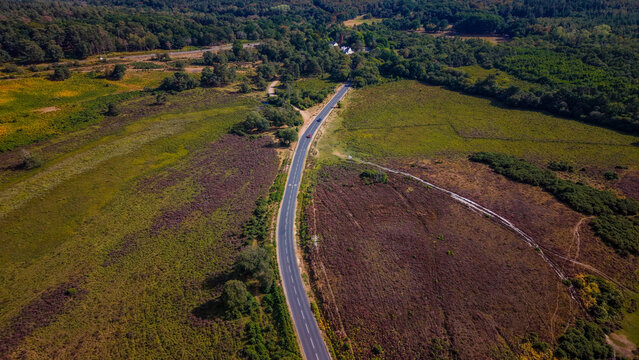 Aerial view of a road winding through the heathland and forest of New Forest National Park in Burley, England, United Kingdom.
