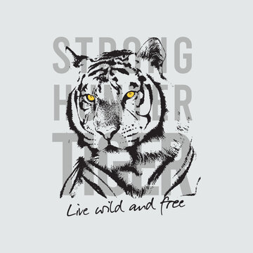 Hand Drawn Tiger Head Portrait with Yellow Eyes and Strong Hunter Typography for Urban Streetwear