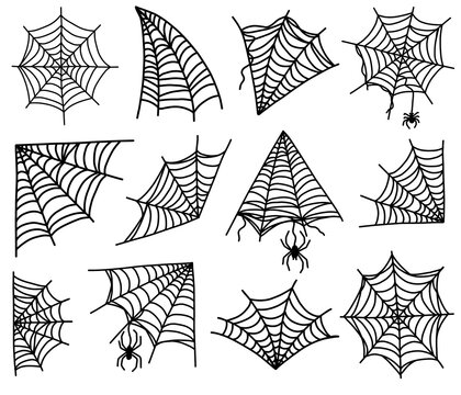 Hand-drawn spider webs flat vector illustration set, spooky collection of black spiderwebs, corner webs, and hanging spiders on a white background, Halloween graphic design elements, vector clipart