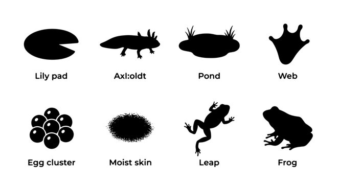Amphibian Life Cycle Icons: Frog, Axolotl, Lily Pad, Pond, Egg Cluster, Webbed Foot, Leap, Moist Skin Silhouettes