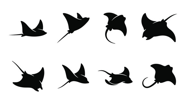 A set of eight stingray in various poses silhouette vector icon illustration on a white background
