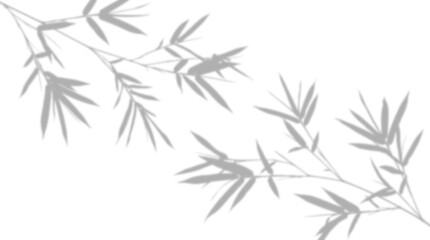Fototapeta premium Natural leaf shadows isolated on transparent background