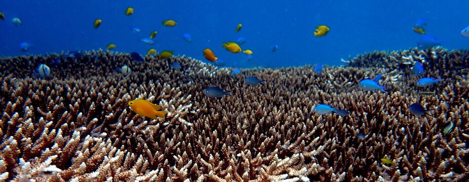 Philippines