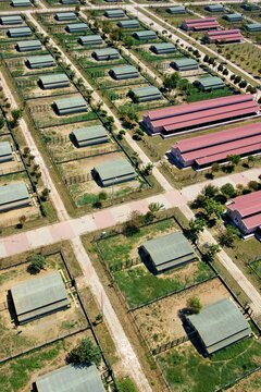 Aerial view of an animal shelter with numerous small enclosures and buildings arranged in a grid pattern in a rural area, Sariyer, Istanbul, Turkey.