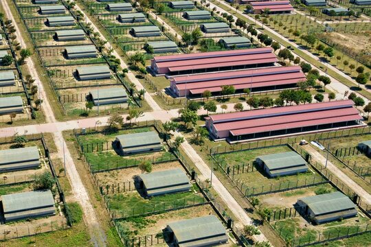 Aerial view of an animal shelter featuring numerous fenced enclosures and small buildings arranged in an organized layout in Sariyer, Istanbul, Turkey.