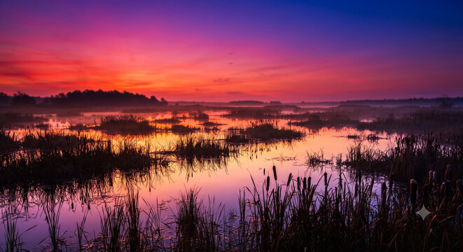 Vibrant sunset twilight over serene marsh wetland with water reflection and reeds silhouette	물 반사와 갈대 실루엣이 있는 평온한 습지 위로 펼쳐지는 생동감 넘치는 일몰 황혼