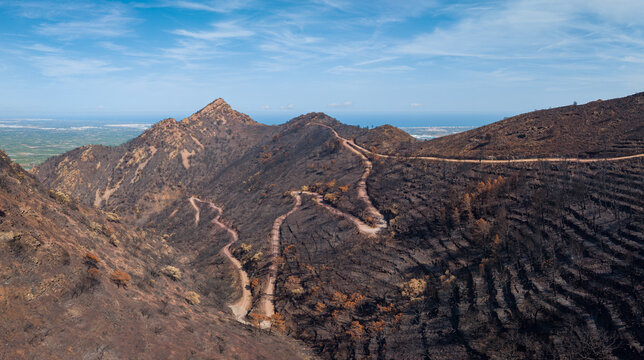 Aerial view of the scorched landscape and charred trees following a wildfire in the Serra d'Espada mountains, with a winding dirt road in Province of Castellon, Valencian Community, Spain.
