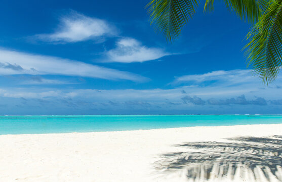 tropical Maldives island with white sandy beach and sea