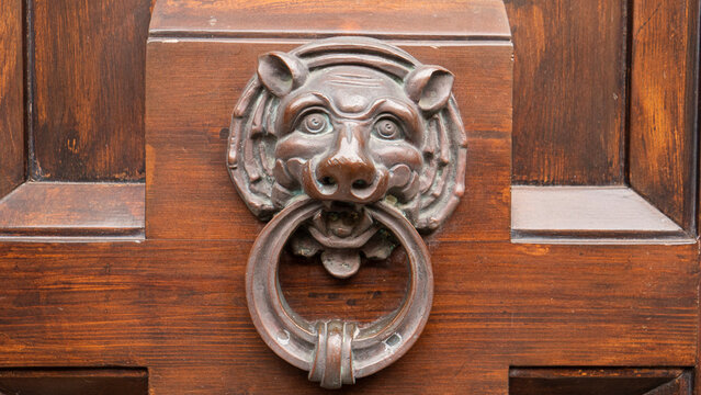 An old metal door knocker in the shape of an animal&rsquo;s head, used to knock on a wooden door