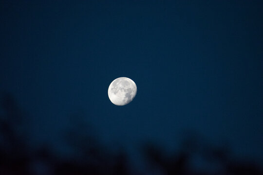 full moon in the night sky