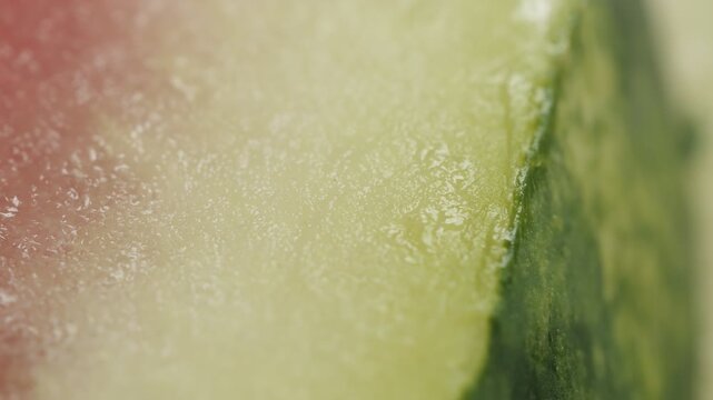 Watermelon slice interior surface macro close up presentation slowly rotating stock footage