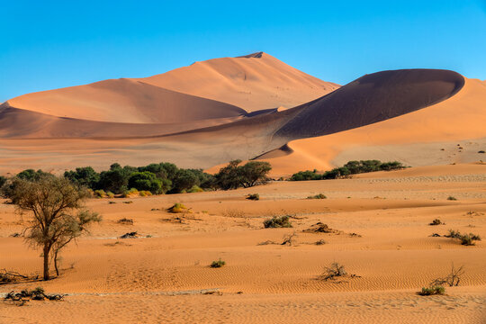 View of Big Mamma sand dune at sunrise in Sossusvlei, Namib Naukluft national park, Namibia scenic landscape, Africa